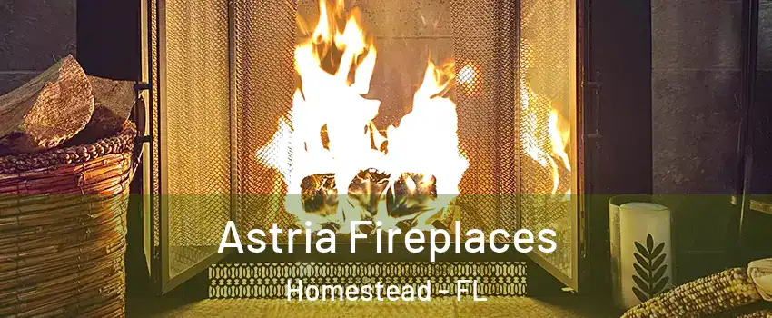  Astria Fireplaces Homestead - FL