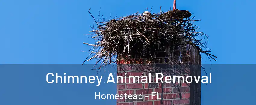 Chimney Animal Removal Homestead - FL