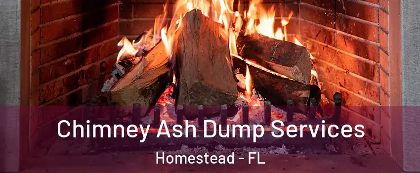  Chimney Ash Dump Services Homestead - FL