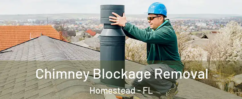  Chimney Blockage Removal Homestead - FL