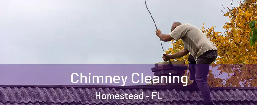  Chimney Cleaning Homestead - FL