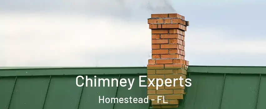 Chimney Experts Homestead - FL