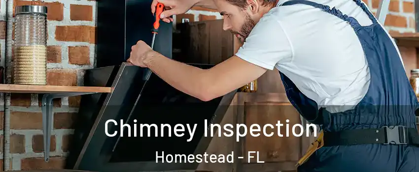 Chimney Inspection Homestead - FL