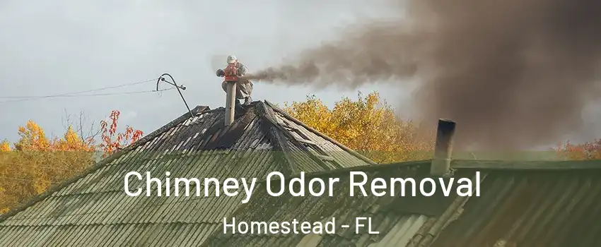  Chimney Odor Removal Homestead - FL