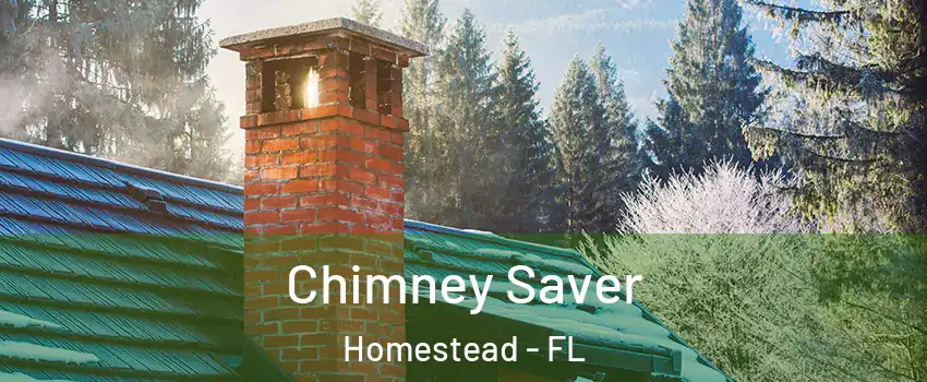  Chimney Saver Homestead - FL