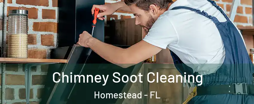  Chimney Soot Cleaning Homestead - FL