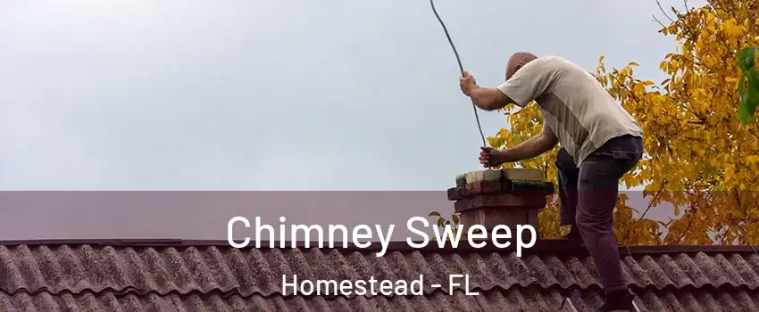 Chimney Sweep Homestead - FL