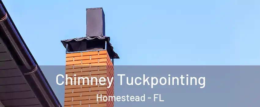  Chimney Tuckpointing Homestead - FL