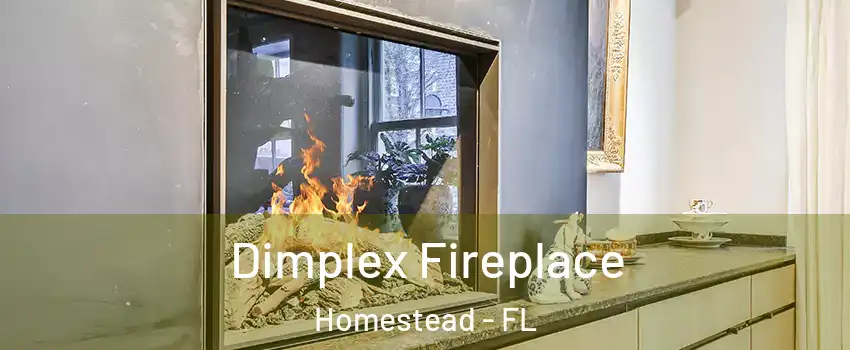  Dimplex Fireplace Homestead - FL