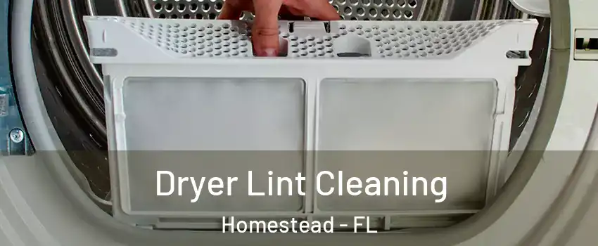  Dryer Lint Cleaning Homestead - FL