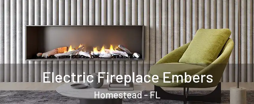  Electric Fireplace Embers Homestead - FL