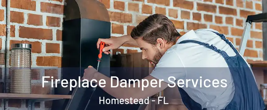  Fireplace Damper Services Homestead - FL