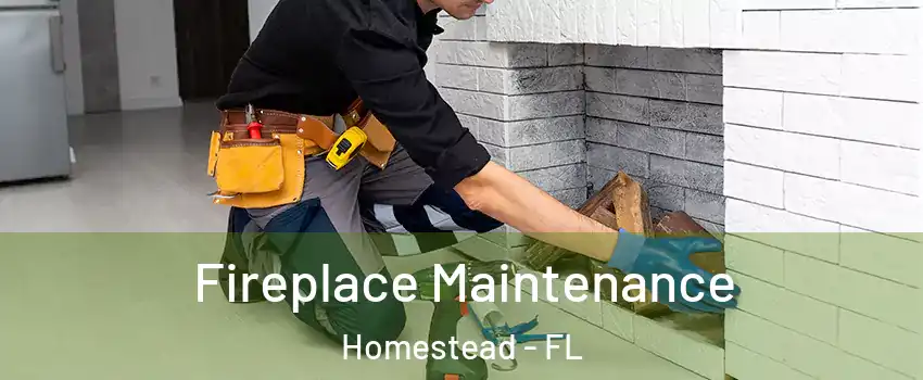  Fireplace Maintenance Homestead - FL