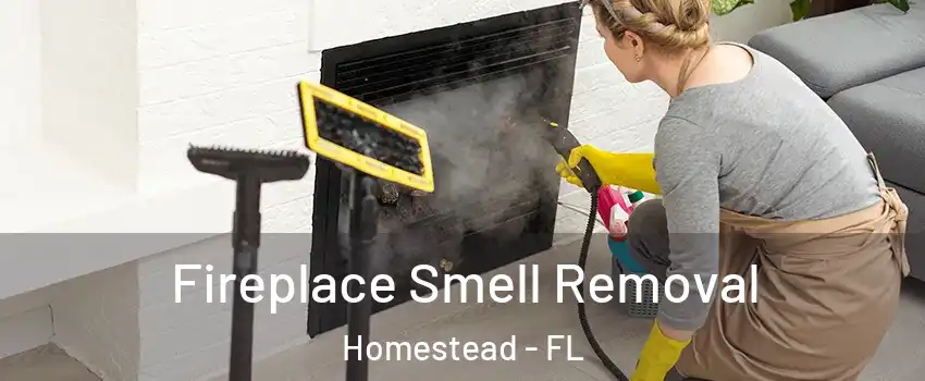  Fireplace Smell Removal Homestead - FL