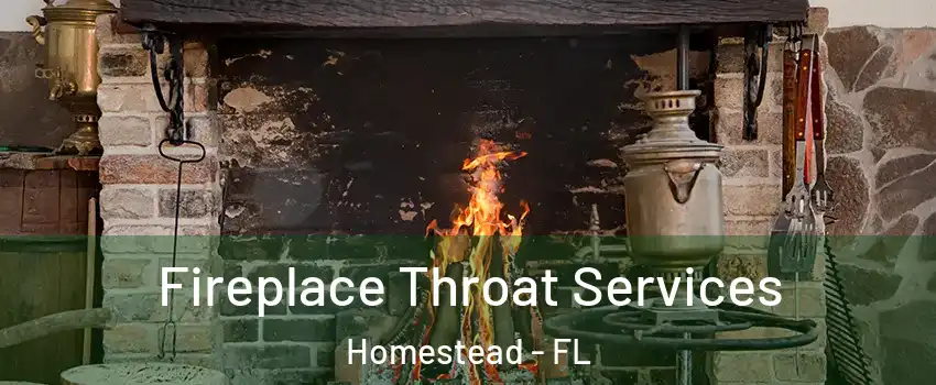  Fireplace Throat Services Homestead - FL