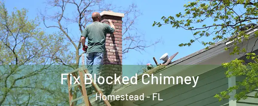  Fix Blocked Chimney Homestead - FL