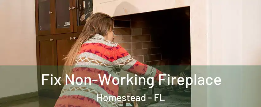  Fix Non-Working Fireplace Homestead - FL
