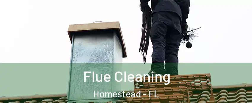  Flue Cleaning Homestead - FL