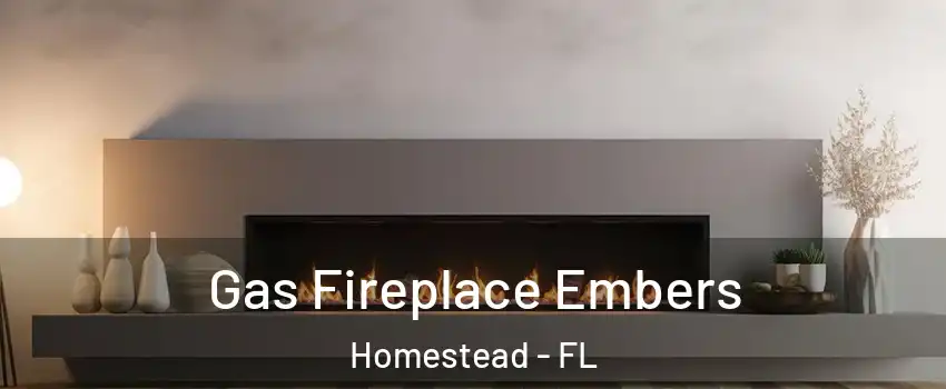  Gas Fireplace Embers Homestead - FL