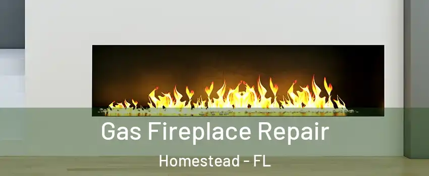  Gas Fireplace Repair Homestead - FL
