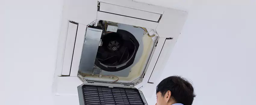 Benefits of Professional Air Duct Cleaning in Homestead, Florida
