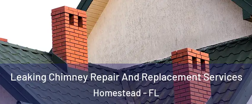 Leaking Chimney Repair And Replacement Services Homestead - FL