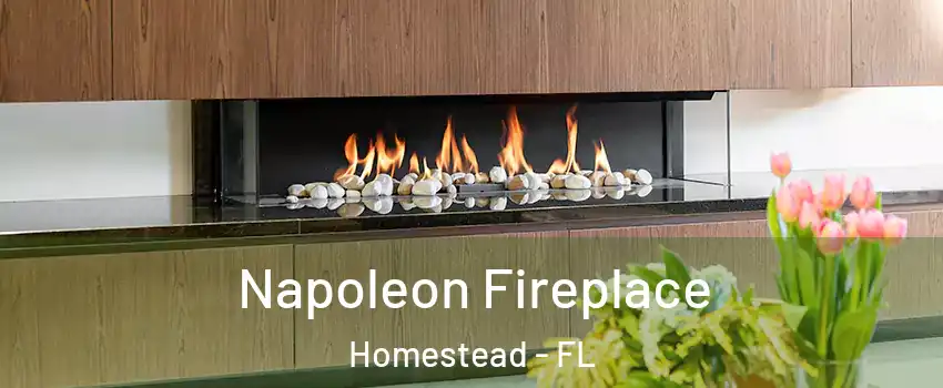  Napoleon Fireplace Homestead - FL