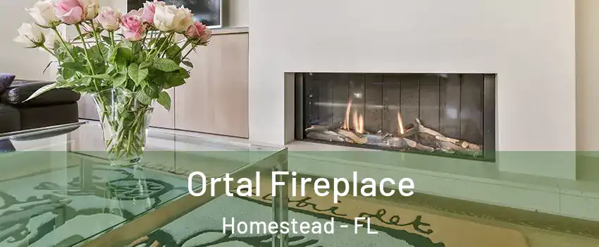 Ortal Fireplace Homestead - FL