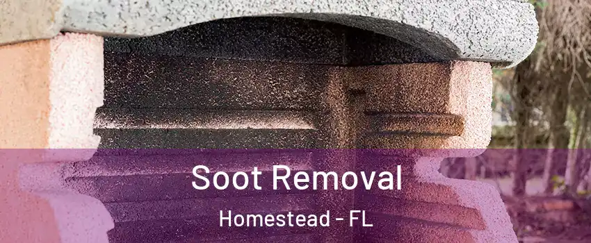  Soot Removal Homestead - FL