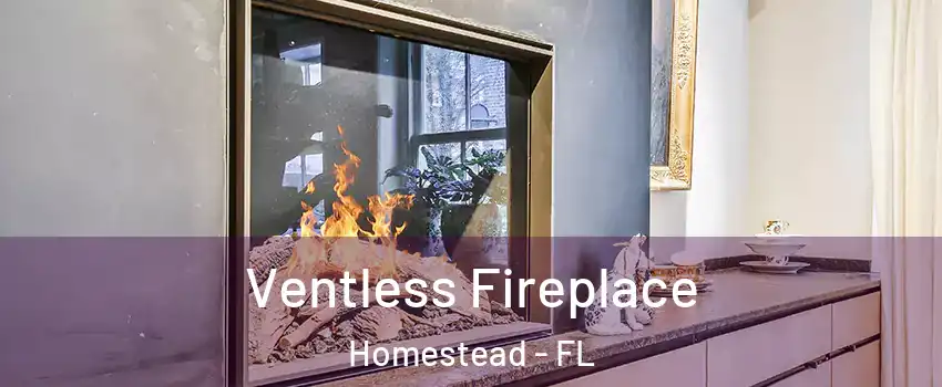  Ventless Fireplace Homestead - FL